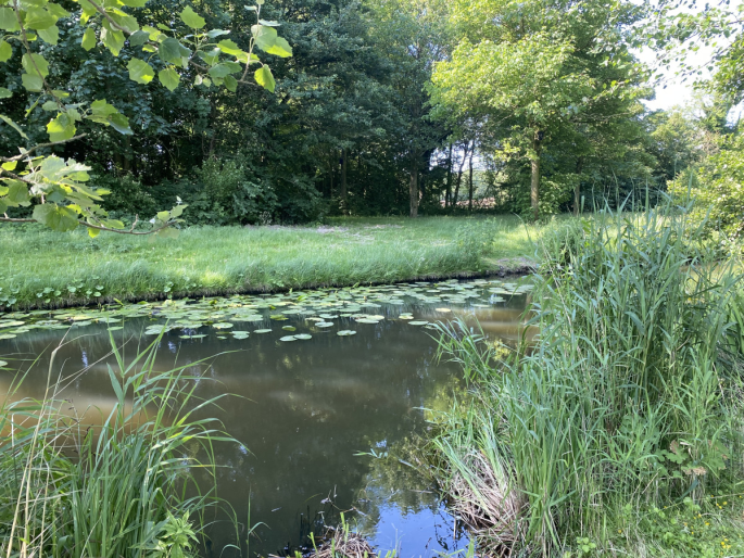 Dordts buiten - op de Eilanden fase 2, Blok H, bouwnummer: H08, Dordrecht