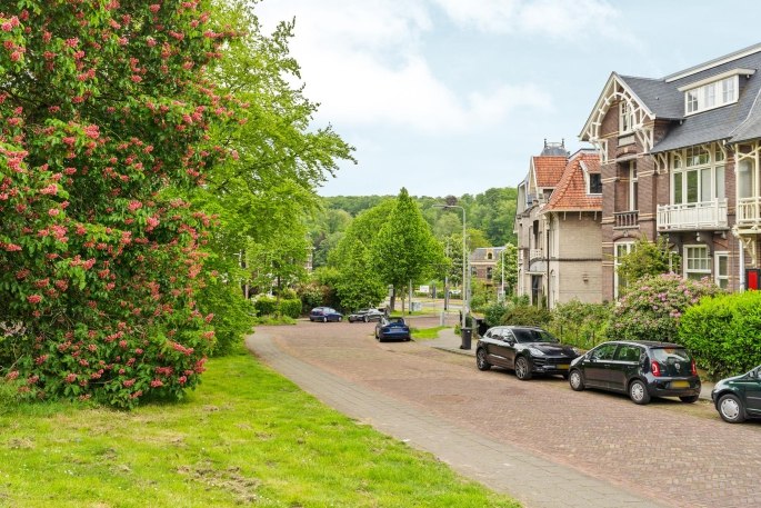 Sweerts de Landasstraat 109 1, 6814 DD, Arnhem